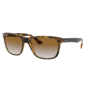 RAY BAN